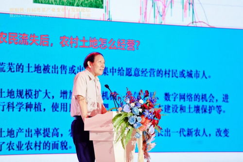 粵菜變革 抓住時代風口，以“新味”走出“圍城”