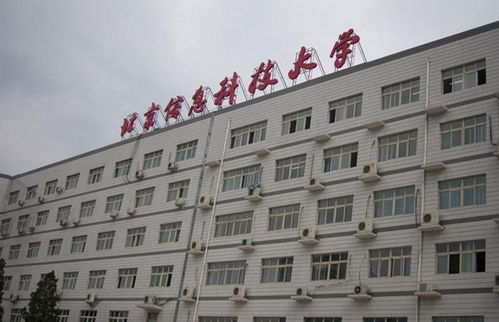 青春奉獻，科技賦能——記北京信息科技大學青年志愿者協(xié)會的信息技術(shù)咨詢志愿服務(wù)